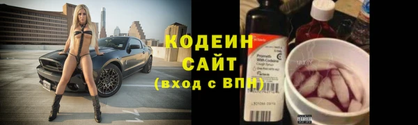 ПСИЛОЦИБИНОВЫЕ ГРИБЫ Медвежьегорск