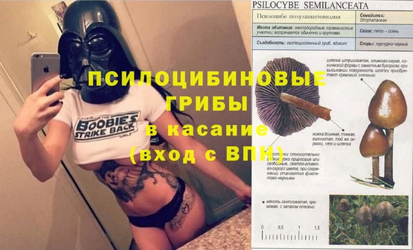 ПСИЛОЦИБИНОВЫЕ ГРИБЫ Медвежьегорск