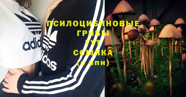 герыч Медногорск