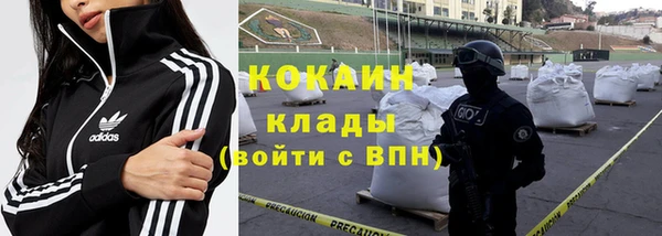 ПСИЛОЦИБИНОВЫЕ ГРИБЫ Медвежьегорск